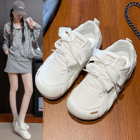 ins韩版阿甘鞋女秋季新款百搭学生透气跑步板鞋休闲鞋女