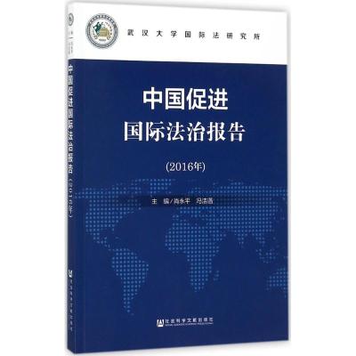 中国促进国际法治报告(2016年)