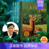 [正版]大羊驼和美洲豹 课外阅读书籍少儿童6-7-8-9-10-12岁非注音版儿童故事读物 含阅读卡