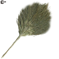 有成鑫 竹扫把180*70cm/把