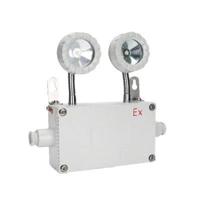 讯博士 YJGZD100 LED 防爆应急工作灯 (计价单位:盏) 白色