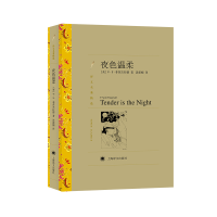 音像夜色温柔(译文名著精选)(美)F·S·菲茨杰拉德|译者:汤新楣