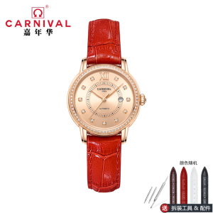 正品嘉年华Carnival瑞士品牌手表新款防水带日历全自动机械表 女士女表镶钻时尚气质简约腕表8062L