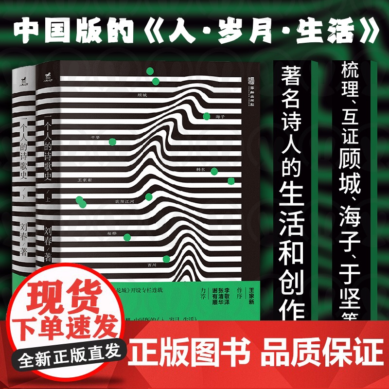 正版 一个人的诗歌史 全2册 曾在读库花城连载 1980年代以来中国诗歌的发展史和创作史 中国版人·岁月·生活 文学