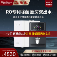 汉斯顿净水器家用直饮0阻垢剂ro反渗透纯水机厨房净水机S1(S90)