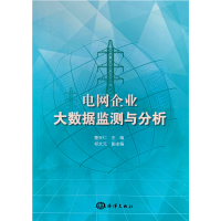 醉染图书电网企业大数据监测与分析9787521002713