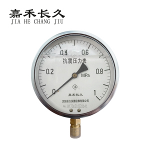 嘉禾长久 耐震压力表检测型 YTN150 块