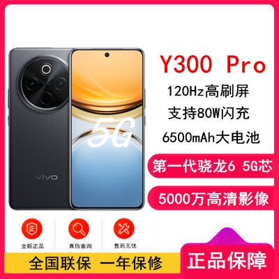 vivo Y300 Pro 墨玉黑 12GB+256GB 骁龙6 5G芯 6500mAh电池 80W充电 5000万高清影像 5G 手机