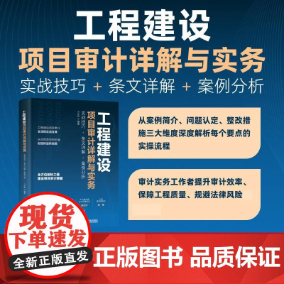 工程建设项目审计详解与实务:实战技巧+条文详解+案例分析 问题分析法律依据整改措施要点分析系统化思维审计会计实战工具书籍