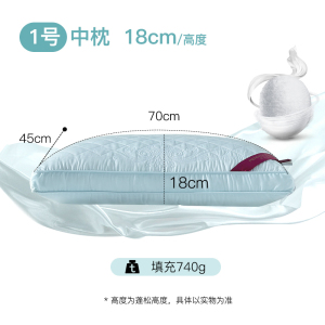 家柏饰(CORATED)家纺蚕丝枕头枕单人酒店枕芯丝棉枕健康家用一对拍2