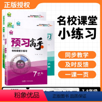 语文[人教版] 七年级下 [正版]2024新版名校课堂小练习七年级下册八年级上册九年级语文数学英语物理人教版初一初二同步