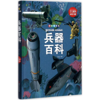 音像兵器百科思远 主编