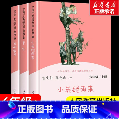[人教版 3册]快乐读书吧6上 [正版]童年高尔基快乐读书吧六年级上册课外书小学生全套3册经典书目爱的教育原著小英雄雨来