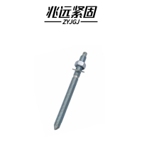 兆远紧固 化学锚栓(个)(12*160)