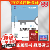 2024CPA 审计全真模拟试题(2024年注会辅导)