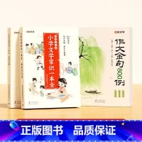 [3册]作文金句800例+小学文学常识 小学通用 [正版]作文金句八百例800例 高分作文素材范文优美句子段落积累大全小