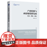 产业转移与承接地集群发展:关系、网络、演化