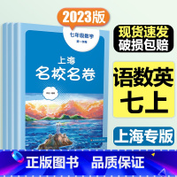 7年级上[套装3本]语数英 大字版 初中通用 [正版]2024春季上海名校名卷六年级七八九上册下册数学语文英语物理化学沪