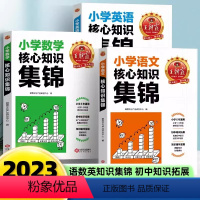 王朝霞小学核心知识集锦[语文+数学+英语] 小学通用 [正版]小学语文阅读训练100篇答案超详解小学生一二三四五六年级阅