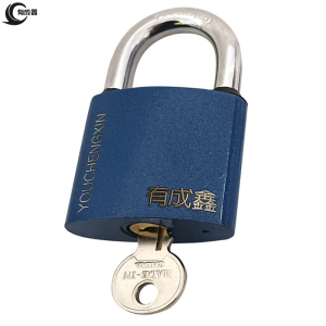 有成鑫 通开挂锁带1把钥匙 YCX-38 把