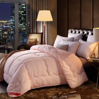 加厚保暖被子冬被宿舍单人学生春秋棉被芯空调被褥四季通用 200X230cm 双人超厚冬被(8斤)