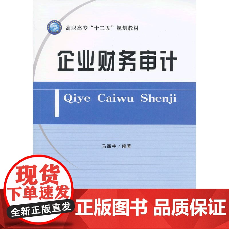 企业财务审计(马西牛)