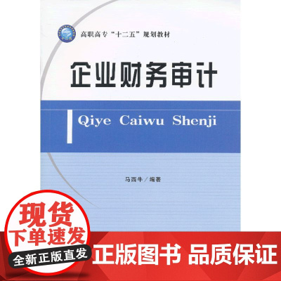 企业财务审计(马西牛)
