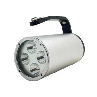 日昇之光(RECEN) RSC8001 12W 11.1V IP68 LED 手提式防爆探照灯(计价单位:套)银色