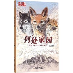 正版新书]何处家园杨保中9787514828733