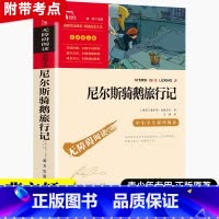 六下 尼尔斯骑鹅旅行记 [正版]尼尔斯骑鹅旅行记原著 六年级下册课外书青少年版小学生课外阅读书籍经典世界名著三四五年级骑