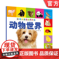 正版 聪明宝宝启蒙大全 动物世界 天露霖 小儿认知感知能力培养 幼儿早教 儿童益智图书 机械工业出版社店