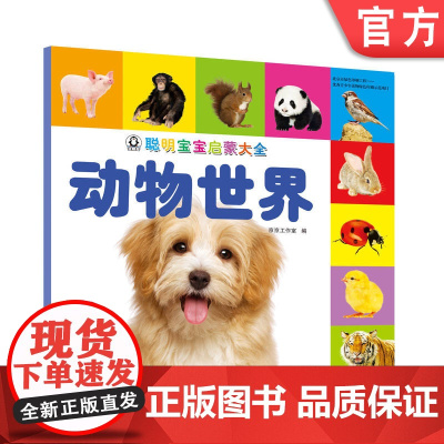 正版 聪明宝宝启蒙大全 动物世界 天露霖 小儿认知感知能力培养 幼儿早教 儿童益智图书 机械工业出版社店