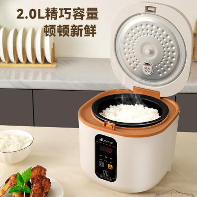 志高(CHIGO)电饭煲4L FBD40-P