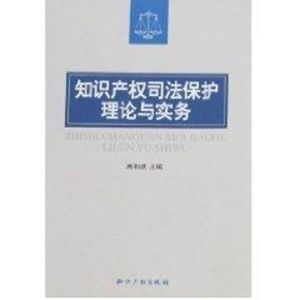 [M]知识产权司法保护理论与实务-9787801987464