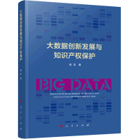 正版新书]大数据创新发展与知识产权保护高莉 著9787010237688