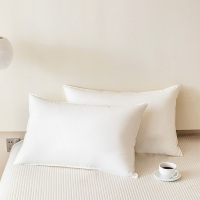 天山柔抗菌防螨枕