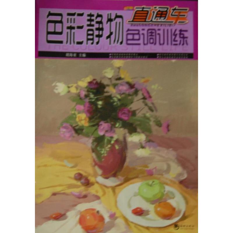 正版新书]色彩静物色调训练(全彩铜版)胡海亚9787515704197