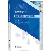 基层供电企业薪酬激励管理案例精选