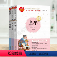 [正版]全套3册 爱的教育童年高尔基小英雄雨来 六年级上册快乐读书吧书目小学生语文阅读课外数6儿童文学阅读书籍版