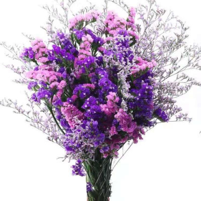 三维工匠云南勿忘我干花水晶草花束满天星风干diy客厅家居装饰插花真花紫色+粉色+情人草40cm20支