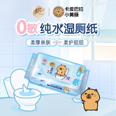 清风纯水湿厕纸家庭实惠装洁厕湿巾私处擦屁屁股男士女士专用女性60片*4包