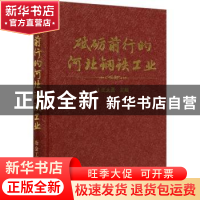 正版 砥砺前行的河北钢铁工业 王大勇 冶金工业出版社 9787502486