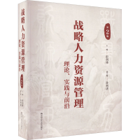 音像战略人力资源管理 理论、实践与前沿 第2版彭剑锋主编
