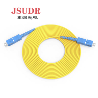 JSUDR东润单模光纤尾纤SC/SC-3米 +根