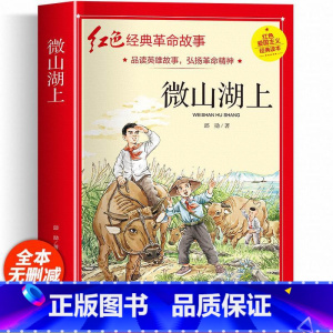 微山湖上 [正版]红色经典书籍小学生二三四五六年级阅读课外书籍儿童文学少年版七根火柴闪闪红星小英雄雨来儿童读物10岁以上