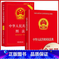 2册[民法典+刑法] [正版]全新 新版中华人民共和国民法典+刑法实用版法律常识 案例注释 看得懂学得会用得上的法律指南