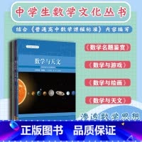 [正版]中学生数学文化丛书4册套 初等数学名题鉴赏+数学与天文+数学与游戏+数学与绘画 课外拓展 华东师范大学出版社