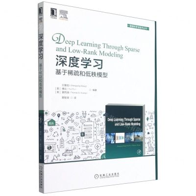 [N]深度学习(基于稀疏和低秩模型)/智能科学与技术丛书-9787111689348