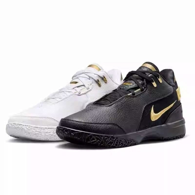 NIKE耐克篮球鞋ZM LEBRON NXXT GEN AMPD EP男鞋FJ1567-103 D