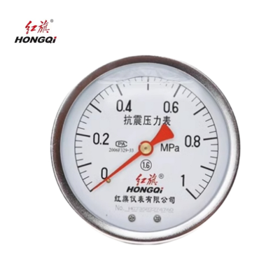 红旗 耐震压力表轴向定制检测款 YTN150Z (压力值需备注) 块
